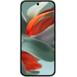 Google Pixel 9 Pro Серый